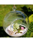 10 sztuk przejrzysta szklana kulka na całym świecie kształt Terrarium okrągły kwiatek wisząca donica Terrarium pojemnik ozdoba o