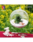 O.RoseLif marka szklana wisząca wazon Terrarium Ball Globe kształt mikro element dekoracji krajobrazu szklana do samodzielnego w