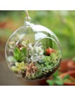 10 sztuk przejrzysta szklana kulka na całym świecie kształt Terrarium okrągły kwiatek wisząca donica Terrarium pojemnik ozdoba o