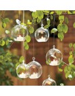 10 sztuk przejrzysta szklana kulka na całym świecie kształt Terrarium okrągły kwiatek wisząca donica Terrarium pojemnik ozdoba o