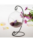 Świecznik Ball Globe kształt wyczyść szklana wisząca kwiat w wazonie rośliny pojemnik Ornament mikro element dekoracji krajobraz