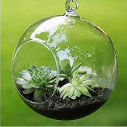 Terrarium Ball Globe kształt wyczyść szklana wisząca kwiat w wazonie rośliny Terrarium pojemnik mikro element dekoracji krajobra