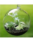 Terrarium Ball Globe kształt wyczyść szklana wisząca kwiat w wazonie rośliny Terrarium pojemnik mikro element dekoracji krajobra