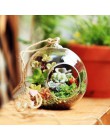 Terrarium Ball Globe kształt wyczyść szklana wisząca kwiat w wazonie rośliny Terrarium pojemnik mikro element dekoracji krajobra