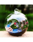 Terrarium Ball Globe kształt wyczyść szklana wisząca kwiat w wazonie rośliny Terrarium pojemnik mikro element dekoracji krajobra