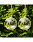 Terrarium Ball Globe kształt wyczyść szklana wisząca kwiat w wazonie rośliny Terrarium pojemnik mikro element dekoracji krajobra