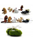 Mikro element dekoracji krajobrazu miłośnicy trawy królik wiewiórka kaczka figurka home decor miniaturowa bajkowa dekoracja ogro