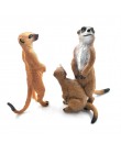 Symulacja wiewiórka słoń papuga Wombat figurka zwierzątka home decor miniaturowe bajkowe akcesoria do dekoracji ogrodu rysunek