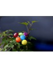 20 sztuk czerwony/wielobarwne pianki grzyby miniatury dla bajki ogród DIY butelka krajobraz dekoracyjne grzyby rysunek dekoracyj
