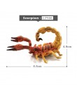 Symulacja wiewiórka słoń papuga Wombat figurka zwierzątka home decor miniaturowe bajkowe akcesoria do dekoracji ogrodu rysunek