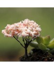 9 stylów mini drzewo bajki dekoracje ogrodowe miniatury krajobraz rzemiosło żywiczne Bonsai akcesoria ogrodowe Terrarium