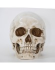 Rzeźby rzeźby żywica halloween do odmu Decor dekoracyjne rzemiosło czaszka rozmiar 1:1 Model życia replika medyczne wysokiej jak