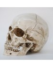Rzeźby rzeźby żywica halloween do odmu Decor dekoracyjne rzemiosło czaszka rozmiar 1:1 Model życia replika medyczne wysokiej jak