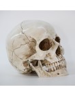 Rzeźby rzeźby żywica halloween do odmu Decor dekoracyjne rzemiosło czaszka rozmiar 1:1 Model życia replika medyczne wysokiej jak