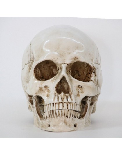 Rzeźby rzeźby żywica halloween do odmu Decor dekoracyjne rzemiosło czaszka rozmiar 1:1 Model życia replika medyczne wysokiej jak