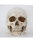 Rzeźby rzeźby żywica halloween do odmu Decor dekoracyjne rzemiosło czaszka rozmiar 1:1 Model życia replika medyczne wysokiej jak
