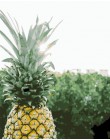 AZQSD ręcznie malowany obrazek według numeru liść rośliny krajobraz malarstwo na płótnie obraz olejny kolorowanie według numerów