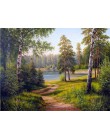 AZQSD DIY 50x40cm farba według numerów na krajobrazy dekoracje do domu obrazy olejne według liczb pełny zestaw dla dorosłych