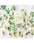 (42 style mogą wybrać) las pieczęć naklejki w opakowaniu DIY papier do scrapbookingu terminarz planer Album Vintage Seal Decorat