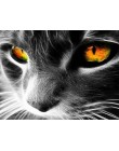 AZQSD 50x40cm malowanie według wzoru obrazy zwierząt olej rysunek numerami kot pełny zestaw kolorowanie według numerów Home Deco