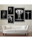 Czarne białe płótno obraz zwierzęcia haft diamentowy Wall Art Lion Elephant Deer Zebra zdjęcia ścienny do salonu minimalistyczna