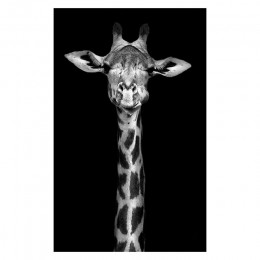 Czarne białe płótno obraz zwierzęcia haft diamentowy Wall Art Lion Elephant Deer Zebra zdjęcia ścienny do salonu minimalistyczna