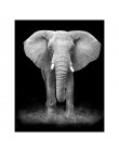 Czarne białe płótno obraz zwierzęcia haft diamentowy Wall Art Lion Elephant Deer Zebra zdjęcia ścienny do salonu minimalistyczna