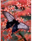 Huacan DIY diament malarstwo motyl i kwiat 5D pełne kwadratowe kryształki diament haft mozaika ściegu Home Decor