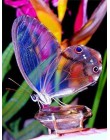 Huacan DIY diament malarstwo motyl i kwiat 5D pełne kwadratowe kryształki diament haft mozaika ściegu Home Decor
