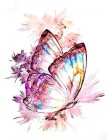 HUACAN 5D DIY pełny kwadratowy obraz zwierzęcia haft diamentowy motyl mozaika diamentowa ozdoba haftowana fotografia do domu z R