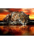 Wiertło pełne 5D DIY diamentowe malowanie "Leopard Tiger" diamentowe hafty ścieg krzyżykowy Rhinestone obraz mozaikowy KBL
