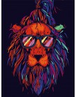 Ręcznie malowany obrazek ramka zwierzęta kolorowa sowa ręcznie malowany obrazek według numerów zestaw nowoczesny obraz ścienny f