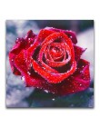HOMFUN pełne kwadratowe/okrągłe wiertło 5D DIY diamentowe malowanie "kolorowe kwiaty" 3D haft Cross Stitch 5D Home Decor prezent